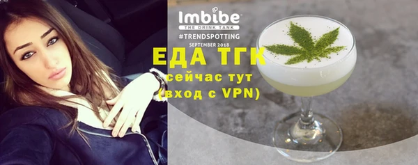 прущие грибы Новозыбков
