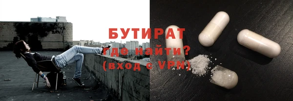 прущие грибы Новозыбков