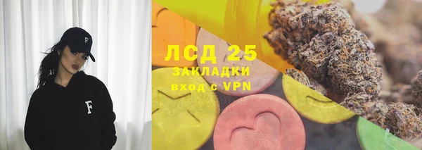 прущие грибы Новозыбков