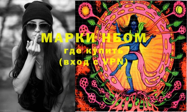 прущие грибы Новозыбков