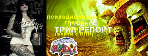гидропоника Нефтекумск
