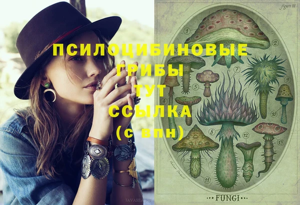ПСИЛОЦИБИНОВЫЕ ГРИБЫ Новодвинск
