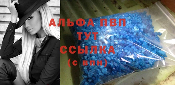 прущие грибы Новозыбков