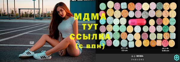 прущие грибы Новозыбков