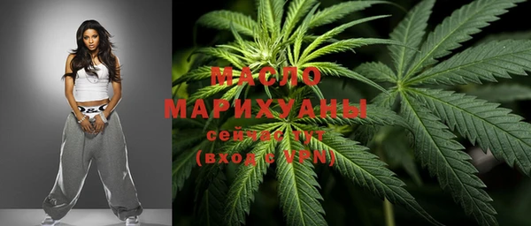 прущие грибы Новозыбков