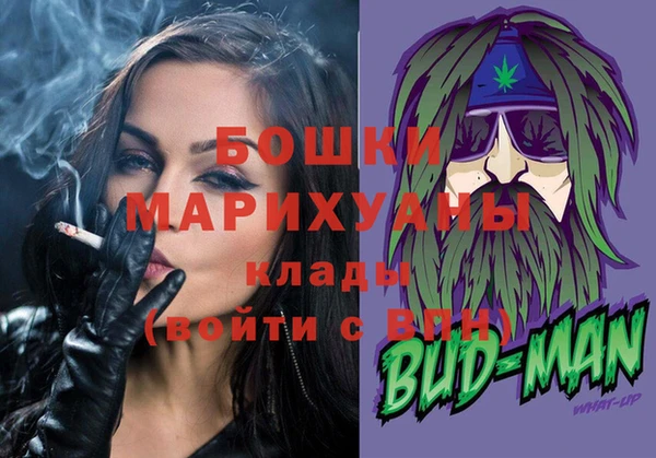 прущие грибы Новозыбков
